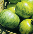 Green Zebra Tomato