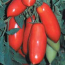 San Marzano Tomato