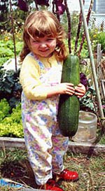 Growing a Squash