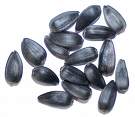 Black Oil Sunflower Seed